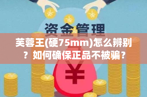 芙蓉王(硬75mm)怎么辨别？如何确保正品不被骗？